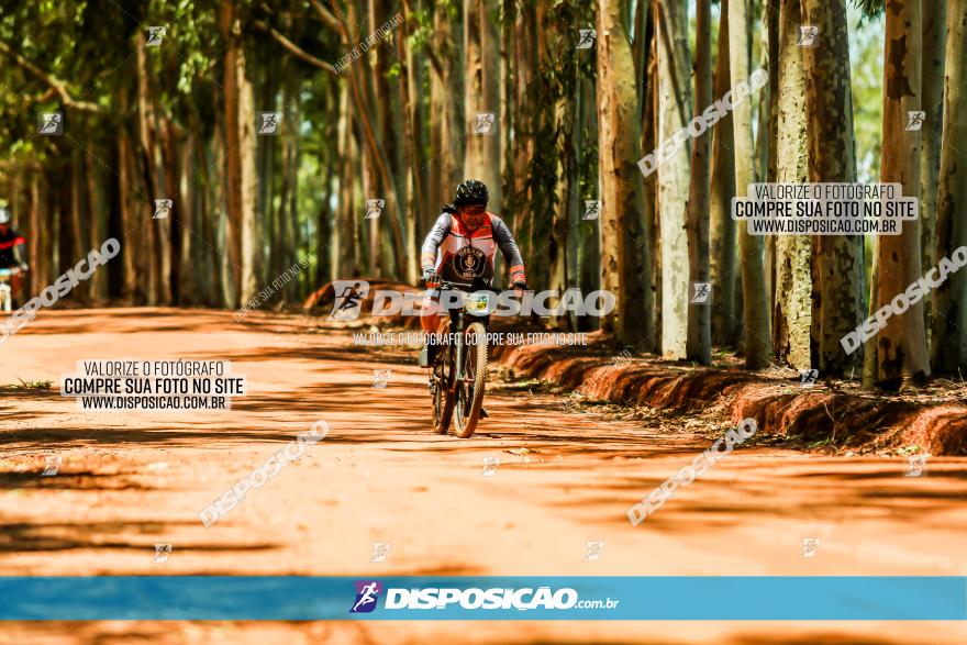 3° Desafio 100km de Terra