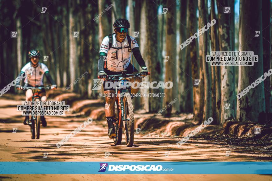 3° Desafio 100km de Terra