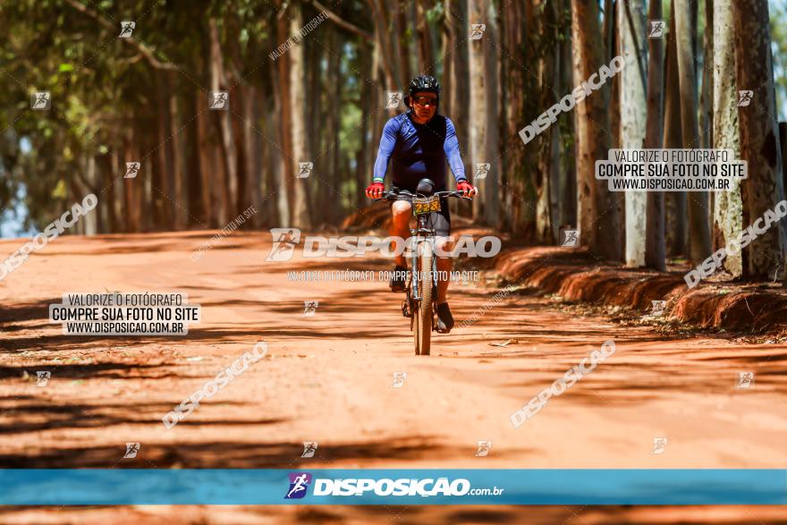 3° Desafio 100km de Terra