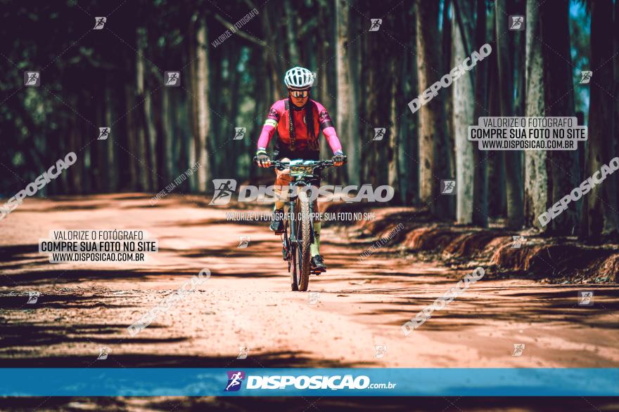 3° Desafio 100km de Terra