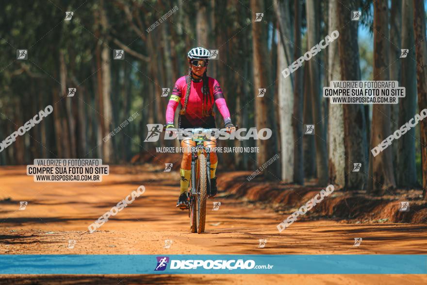 3° Desafio 100km de Terra