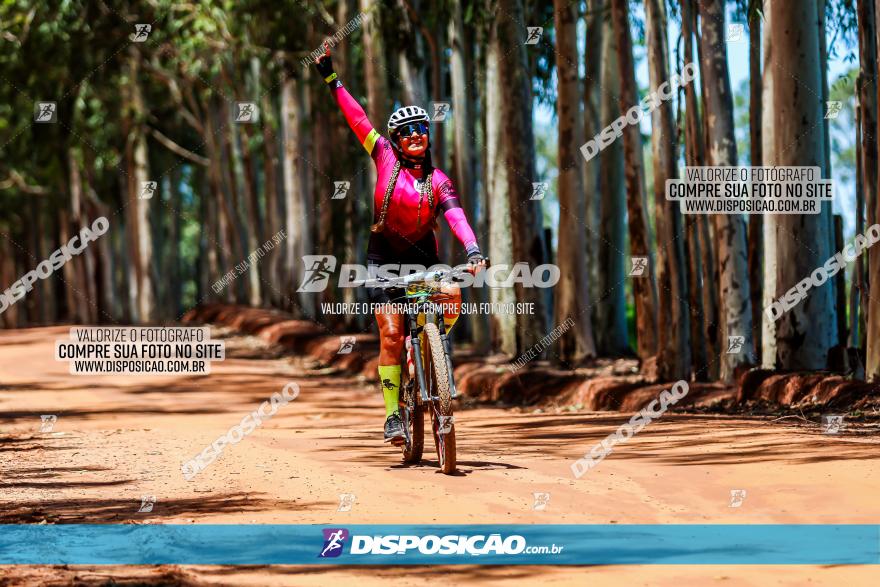 3° Desafio 100km de Terra