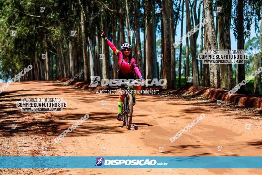 3° Desafio 100km de Terra