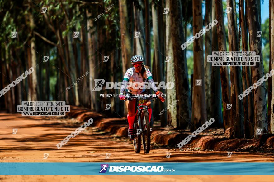 3° Desafio 100km de Terra