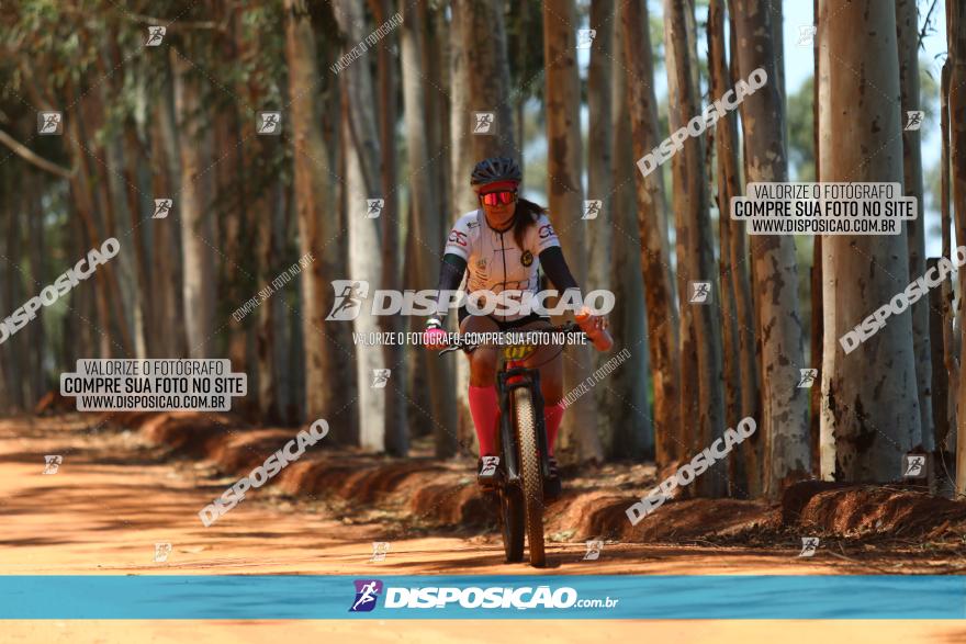 3° Desafio 100km de Terra