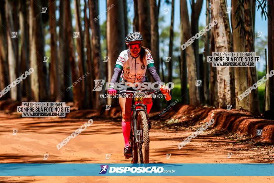 3° Desafio 100km de Terra