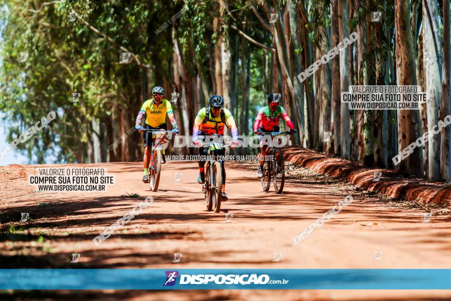 3° Desafio 100km de Terra