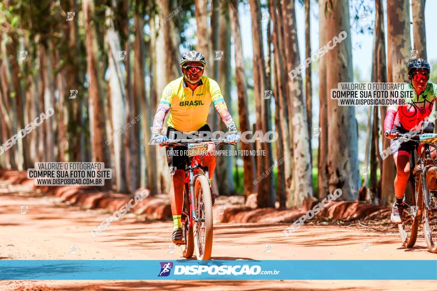 3° Desafio 100km de Terra