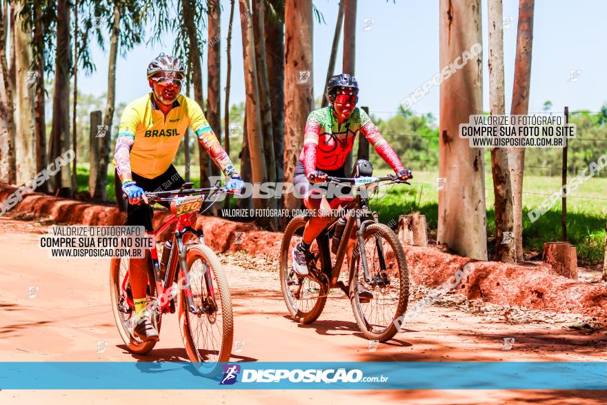 3° Desafio 100km de Terra