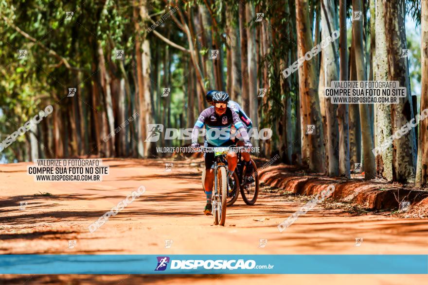 3° Desafio 100km de Terra