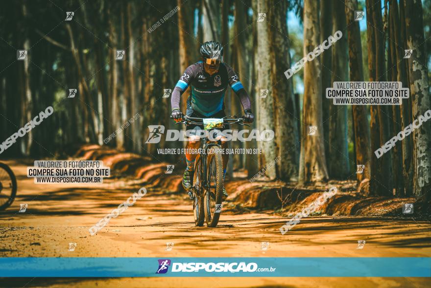 3° Desafio 100km de Terra