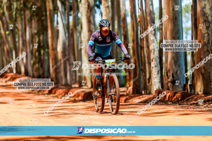 3° Desafio 100km de Terra