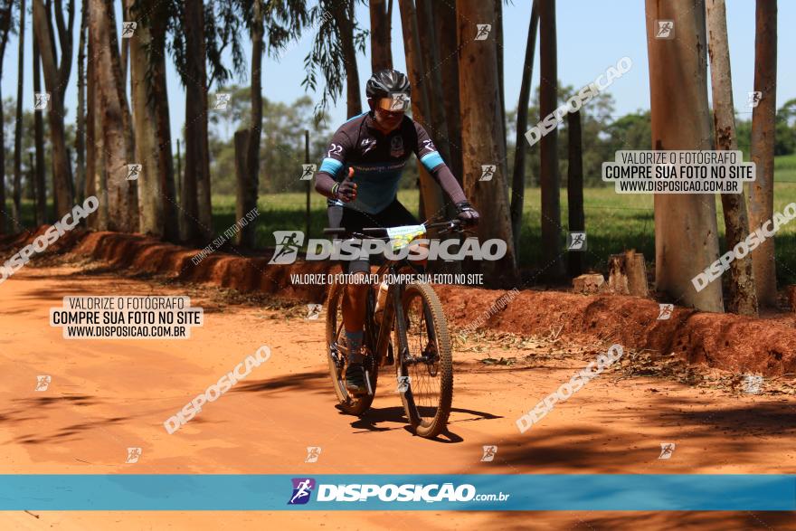 3° Desafio 100km de Terra