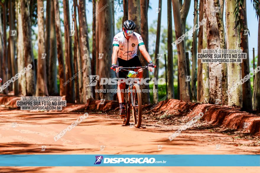 3° Desafio 100km de Terra