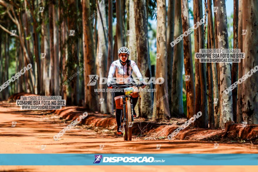 3° Desafio 100km de Terra