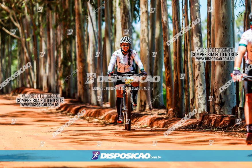 3° Desafio 100km de Terra