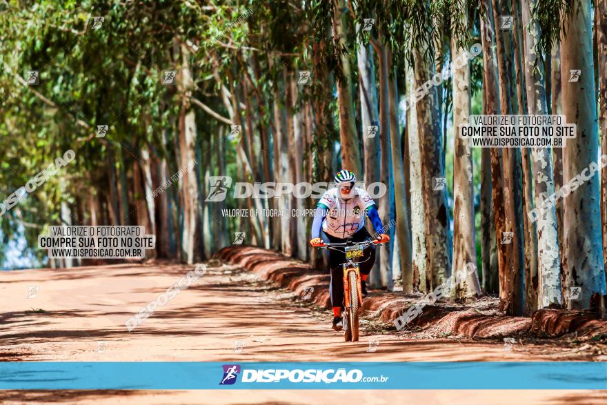 3° Desafio 100km de Terra