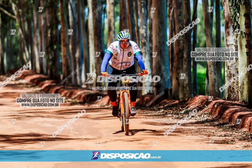 3° Desafio 100km de Terra