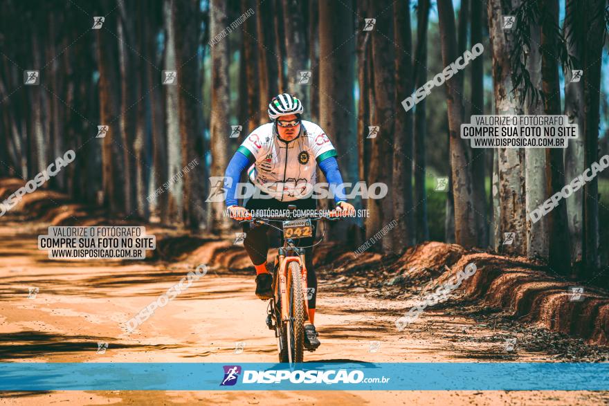 3° Desafio 100km de Terra