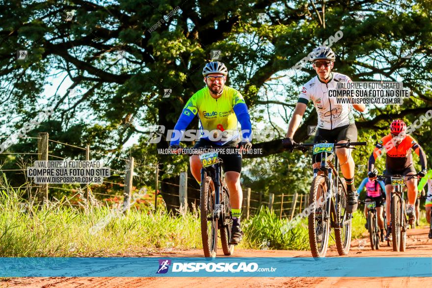 3° Desafio 100km de Terra