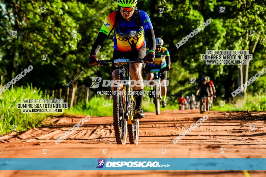 3° Desafio 100km de Terra