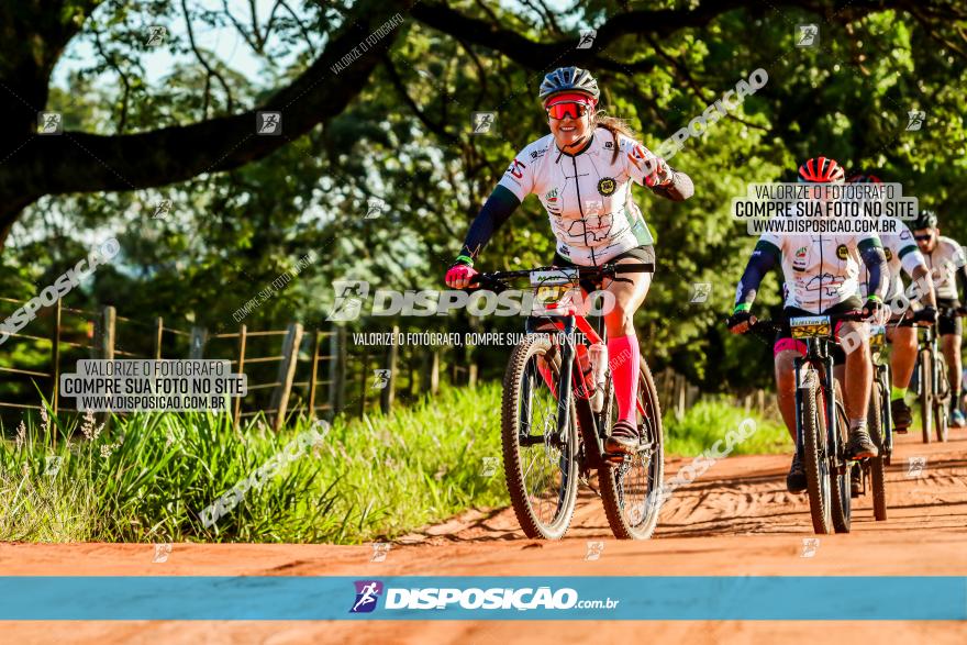 3° Desafio 100km de Terra