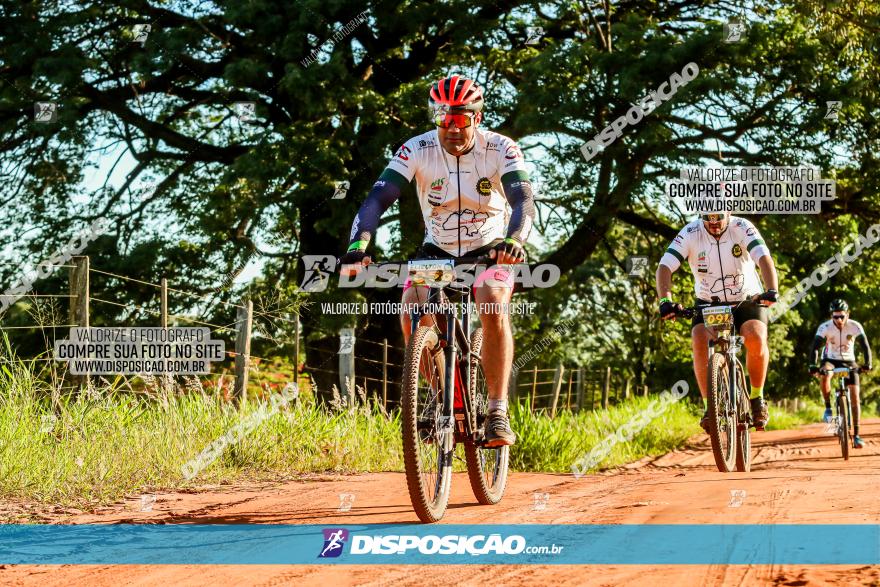 3° Desafio 100km de Terra