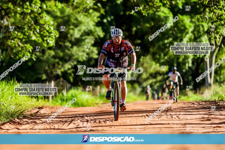 3° Desafio 100km de Terra