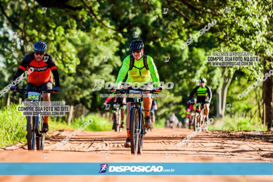 3° Desafio 100km de Terra