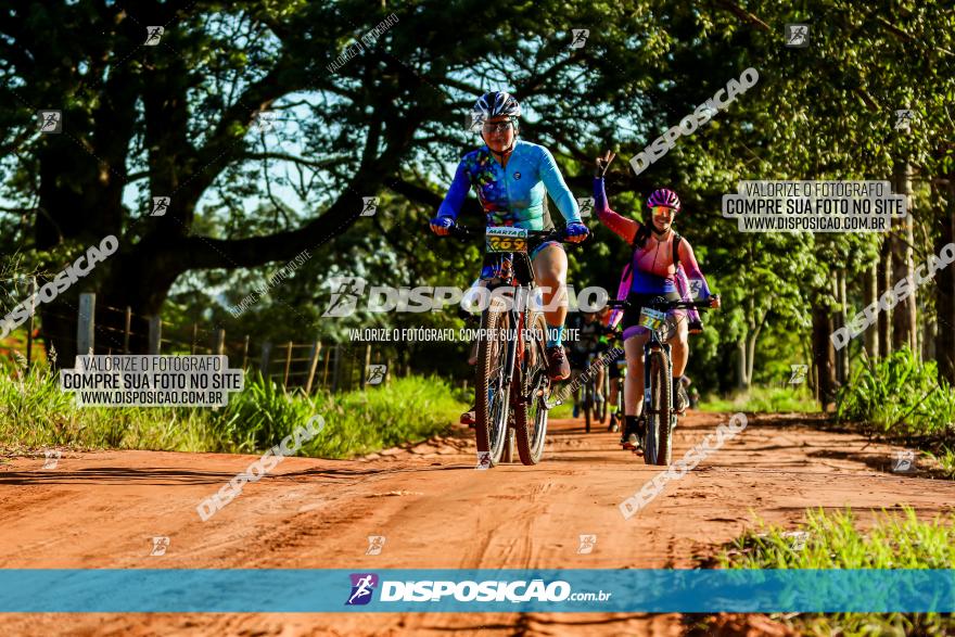 3° Desafio 100km de Terra