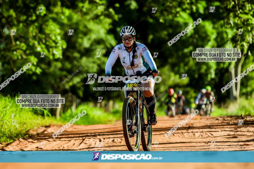 3° Desafio 100km de Terra