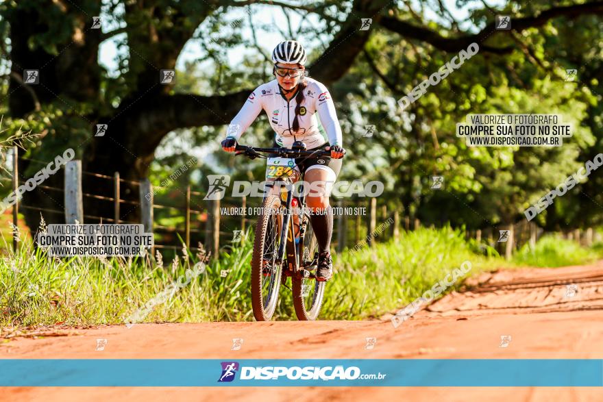 3° Desafio 100km de Terra