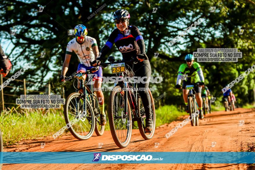 3° Desafio 100km de Terra