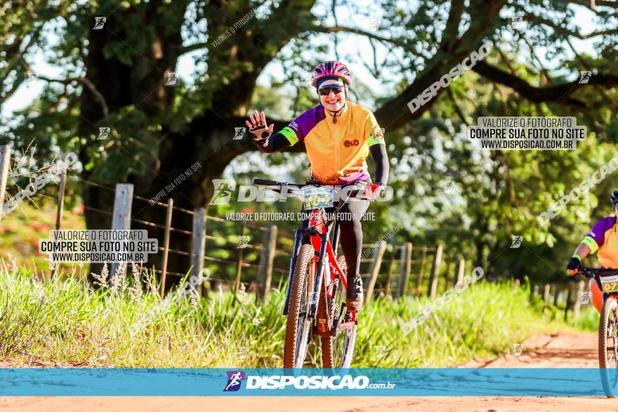 3° Desafio 100km de Terra