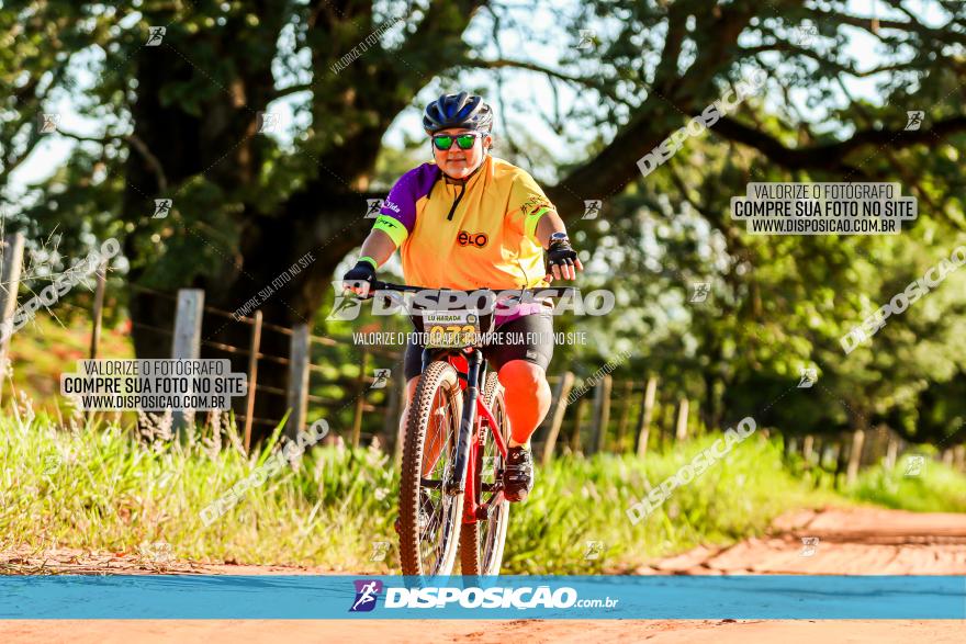 3° Desafio 100km de Terra