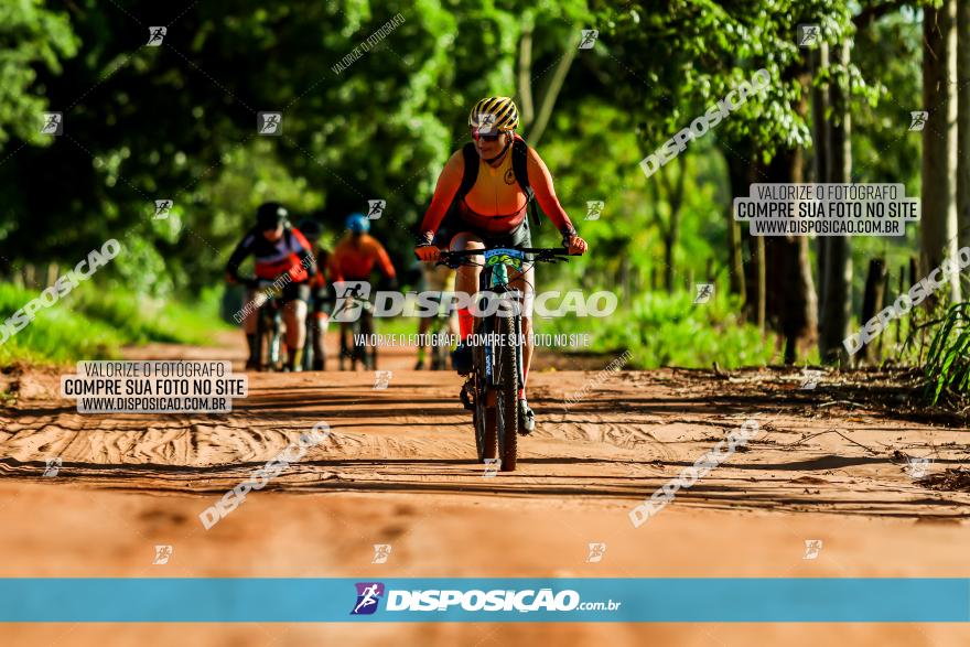 3° Desafio 100km de Terra