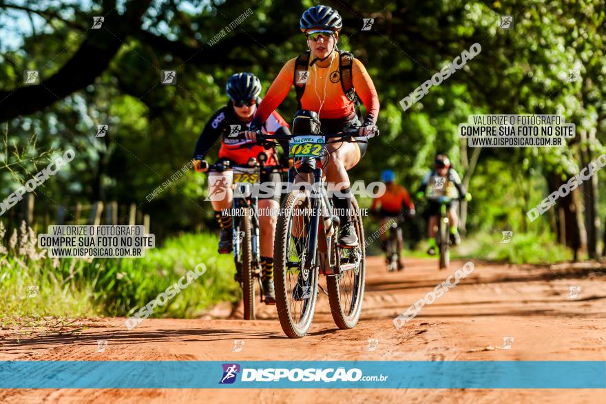 3° Desafio 100km de Terra