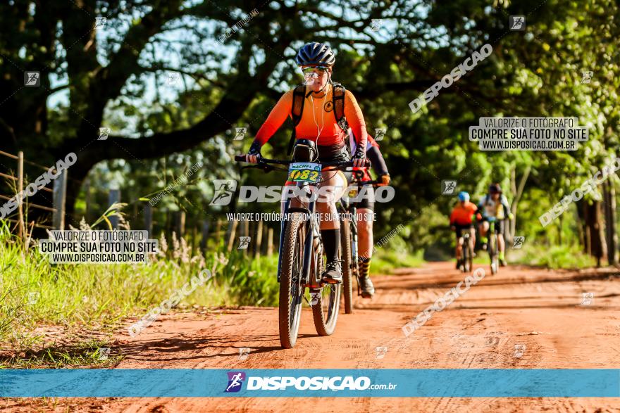 3° Desafio 100km de Terra