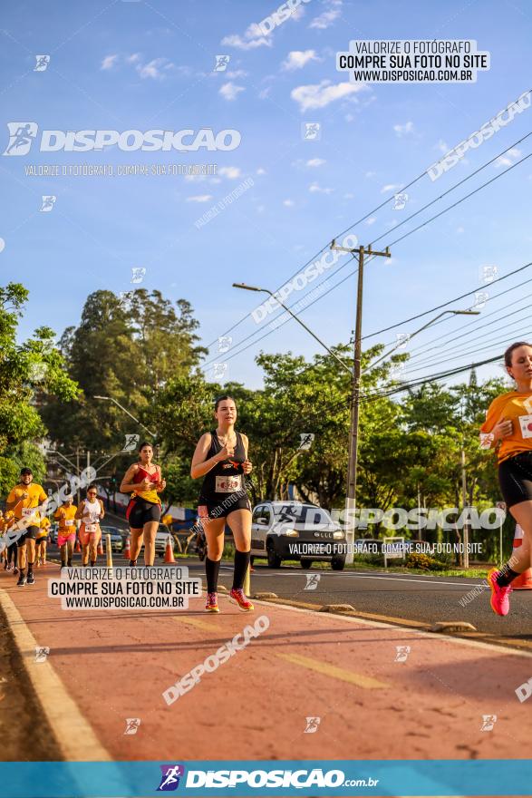 1ª Meia Maratona The Best Açaí