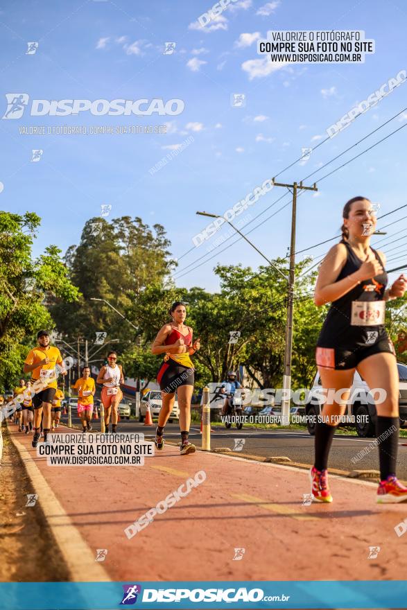 1ª Meia Maratona The Best Açaí