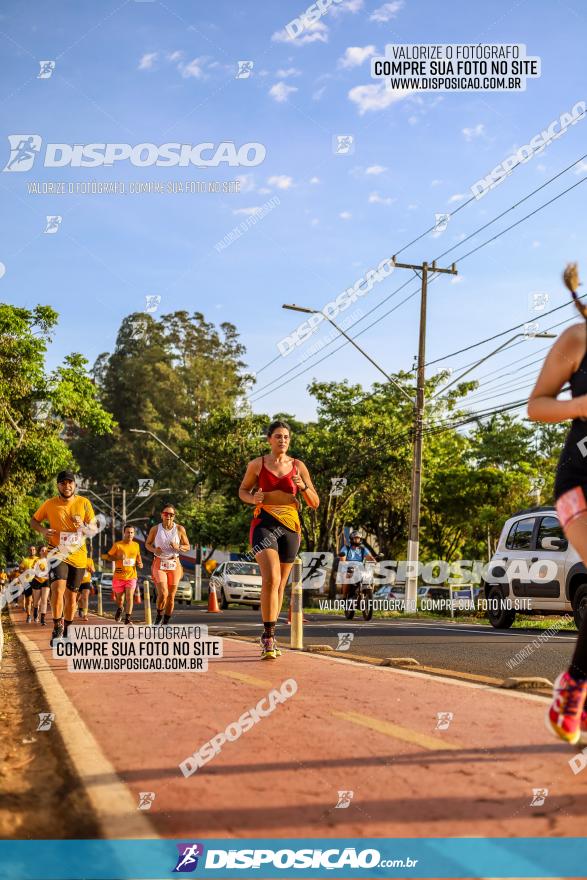 1ª Meia Maratona The Best Açaí