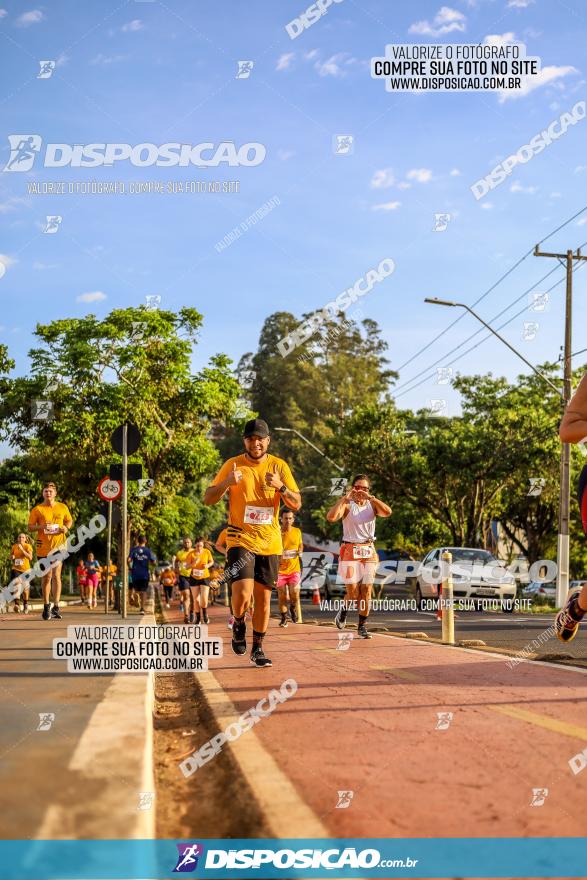 1ª Meia Maratona The Best Açaí