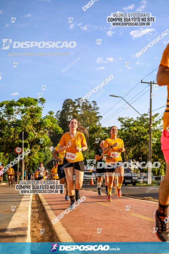 1ª Meia Maratona The Best Açaí