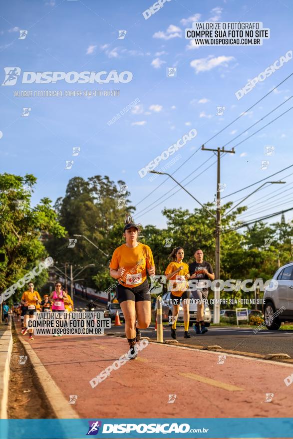 1ª Meia Maratona The Best Açaí