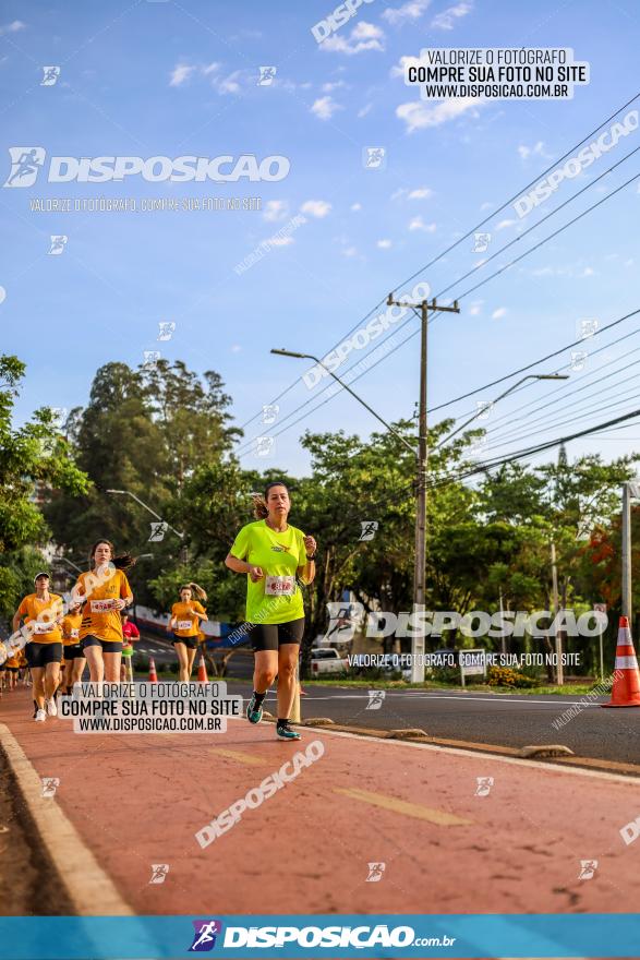 1ª Meia Maratona The Best Açaí