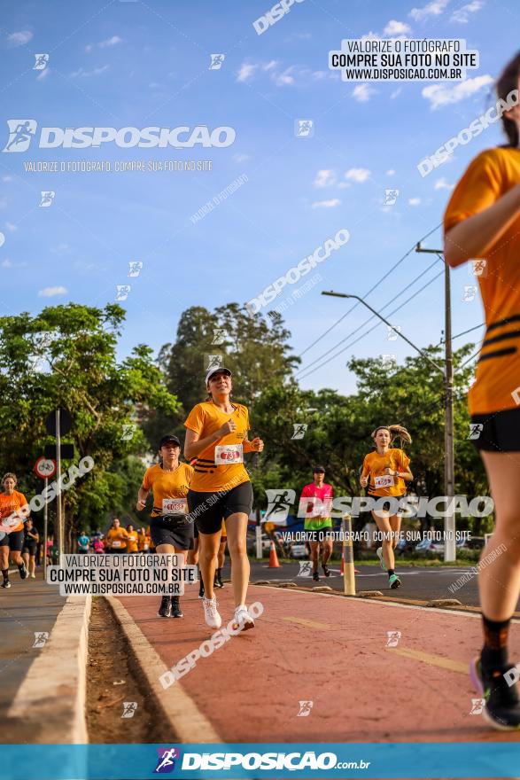 1ª Meia Maratona The Best Açaí