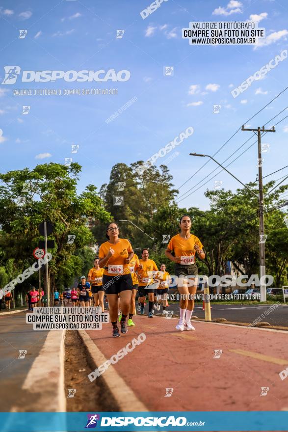 1ª Meia Maratona The Best Açaí