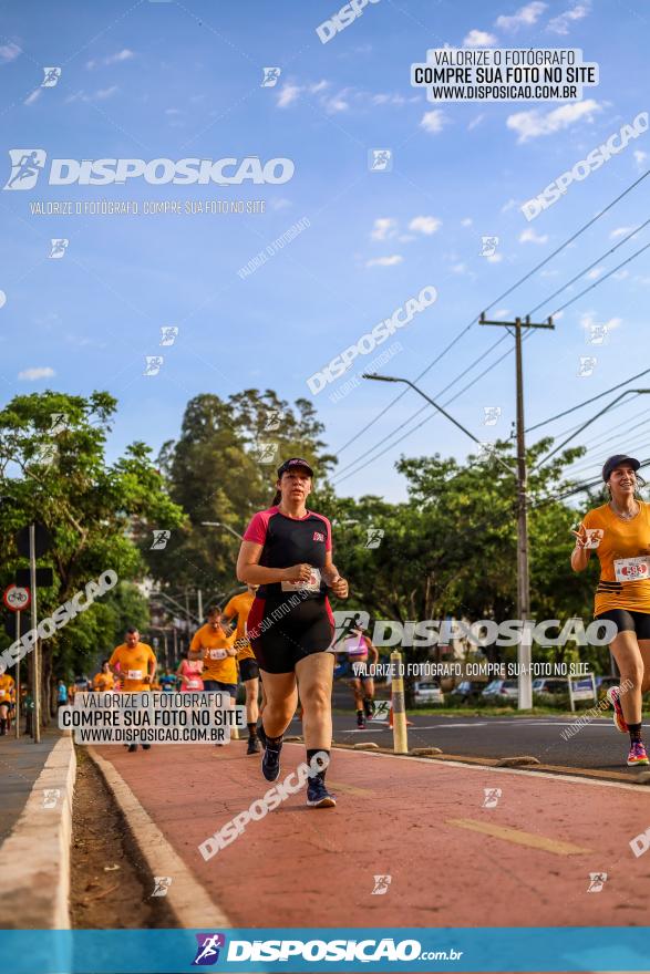 1ª Meia Maratona The Best Açaí