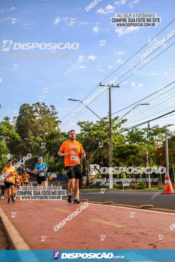 1ª Meia Maratona The Best Açaí