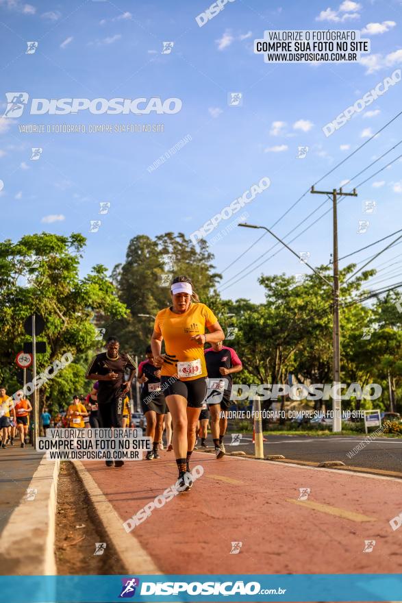 1ª Meia Maratona The Best Açaí